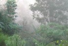 Four Mile Creek NSWlandscaping-irrigation-4.jpg; ?>